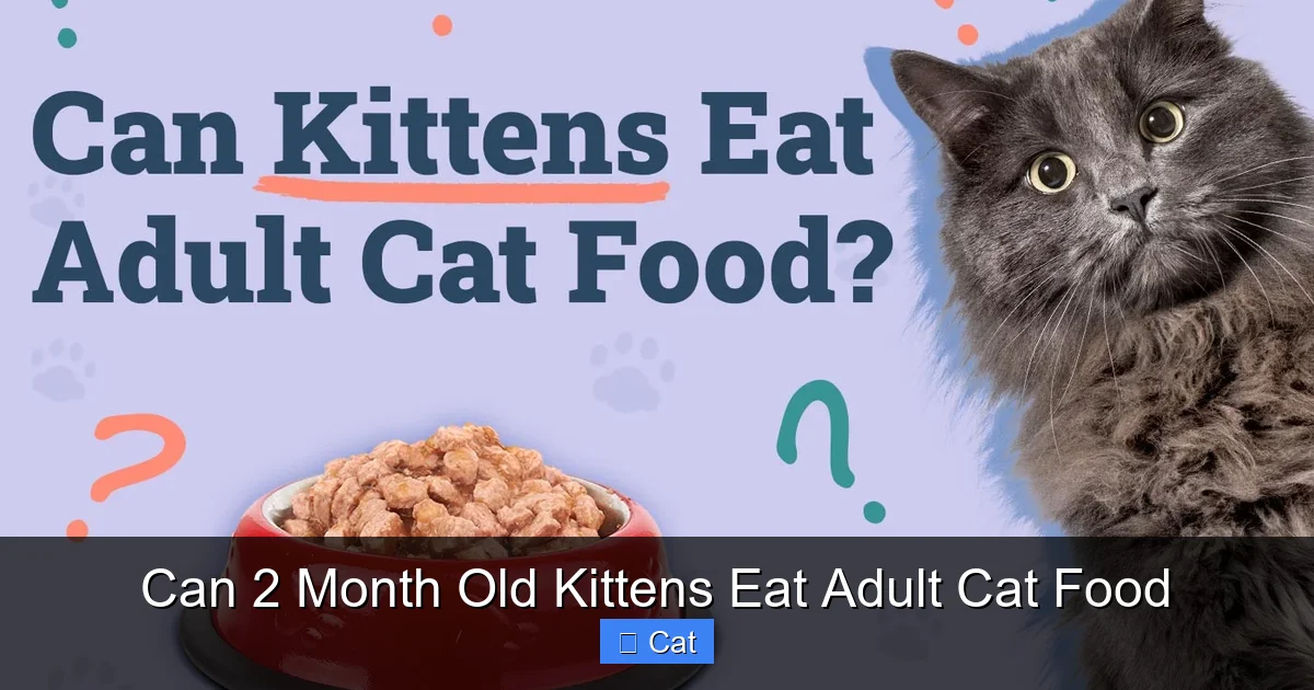Can 2 Month Old Kittens Eat Adult Cat Food