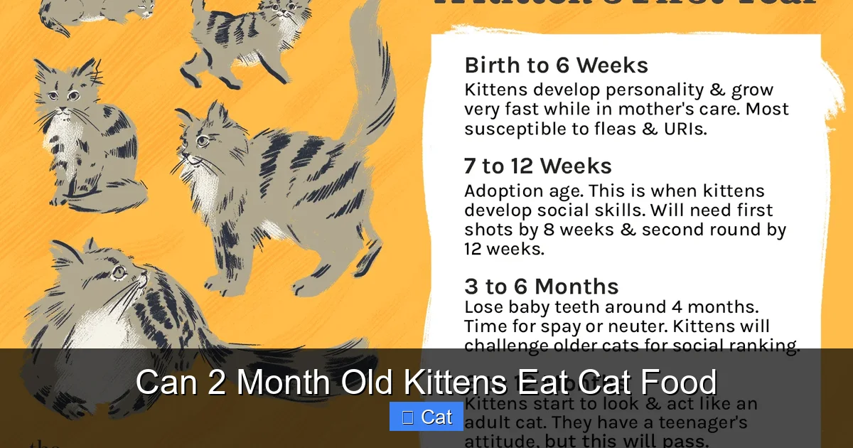 Can 2 Month Old Kittens Eat Cat Food