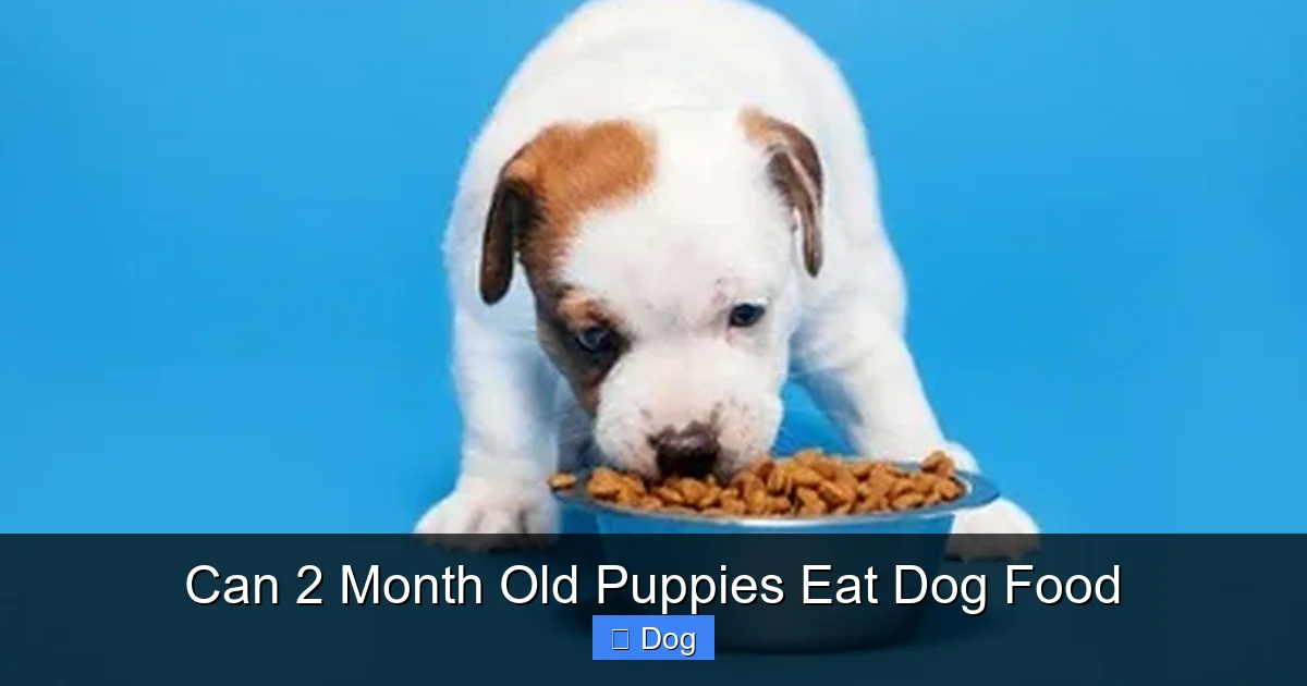 Can 2 Month Old Puppies Eat Dog Food
