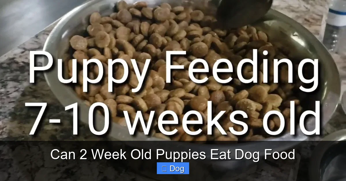 Can 2 Week Old Puppies Eat Dog Food
