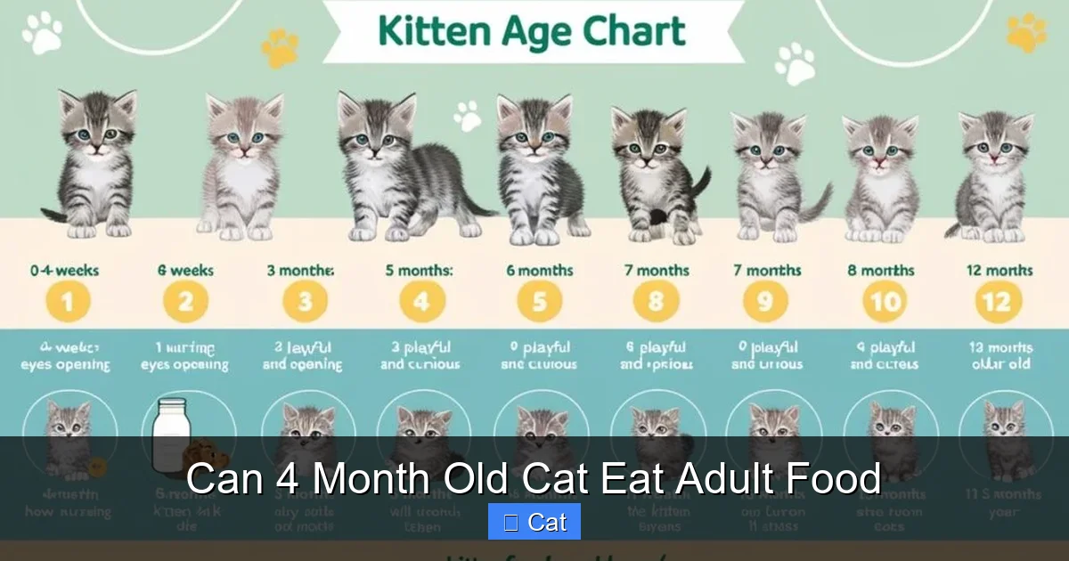 Can 4 Month Old Cat Eat Adult Food