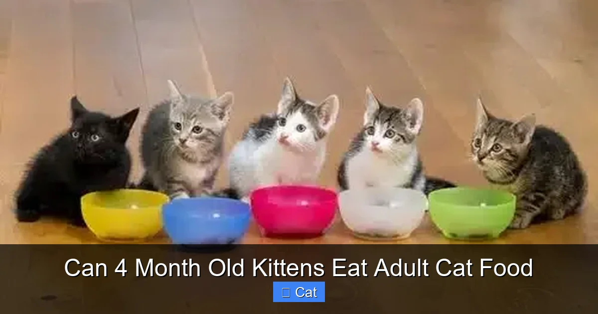 Can 4 Month Old Kittens Eat Adult Cat Food