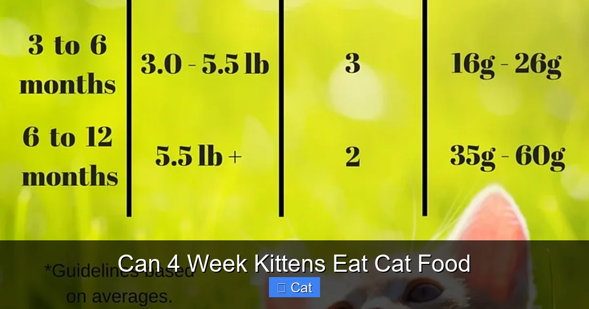 Can 4 Week Kittens Eat Cat Food