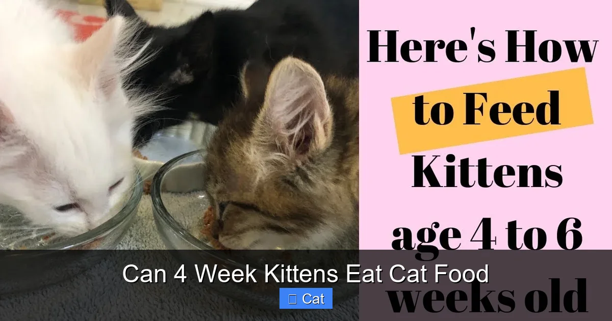 Can 4 Week Kittens Eat Cat Food
