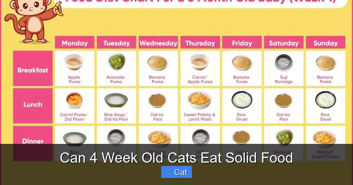 Can 4 Week Old Cats Eat Solid Food