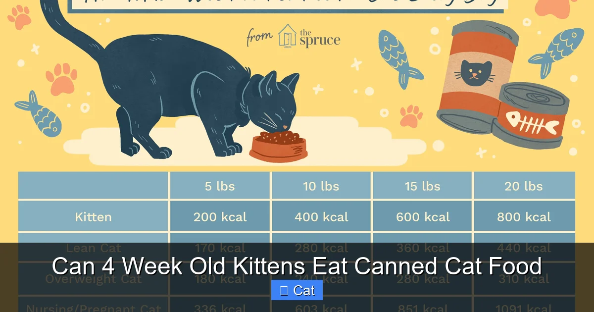Can 4 Week Old Kittens Eat Canned Cat Food