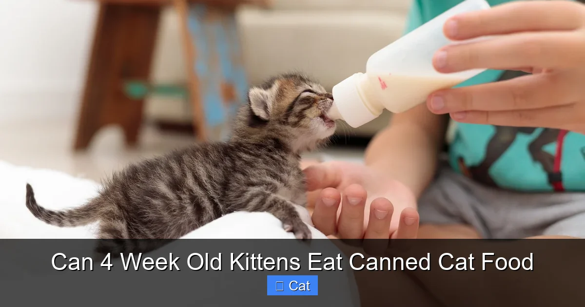 Can 4 Week Old Kittens Eat Canned Cat Food