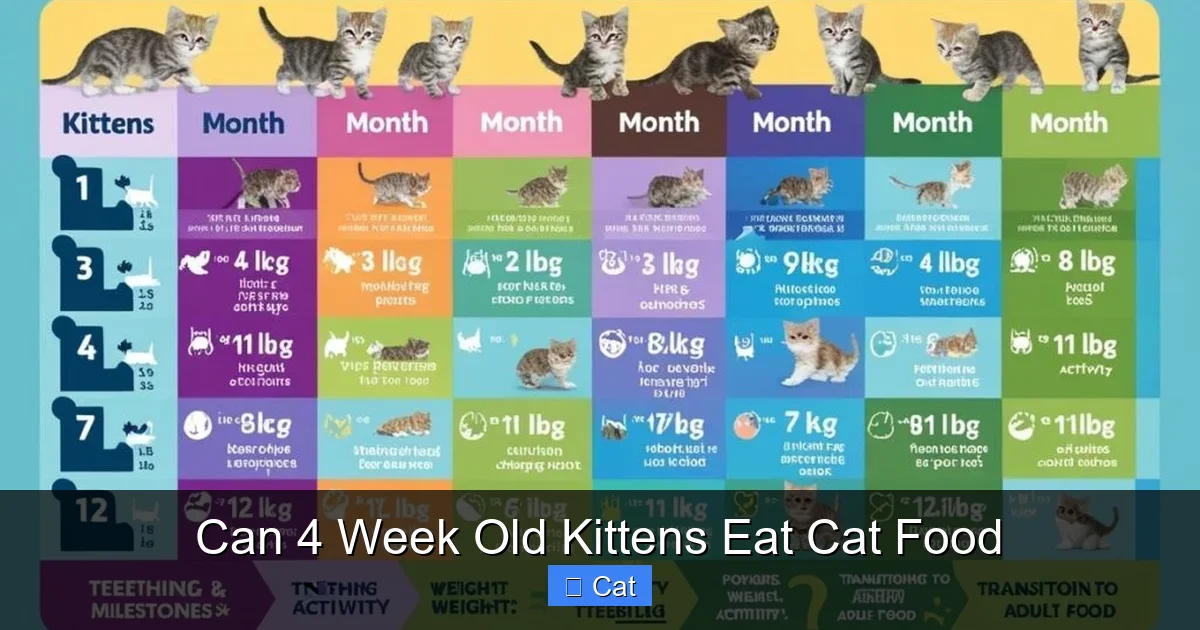 Can 4 Week Old Kittens Eat Cat Food