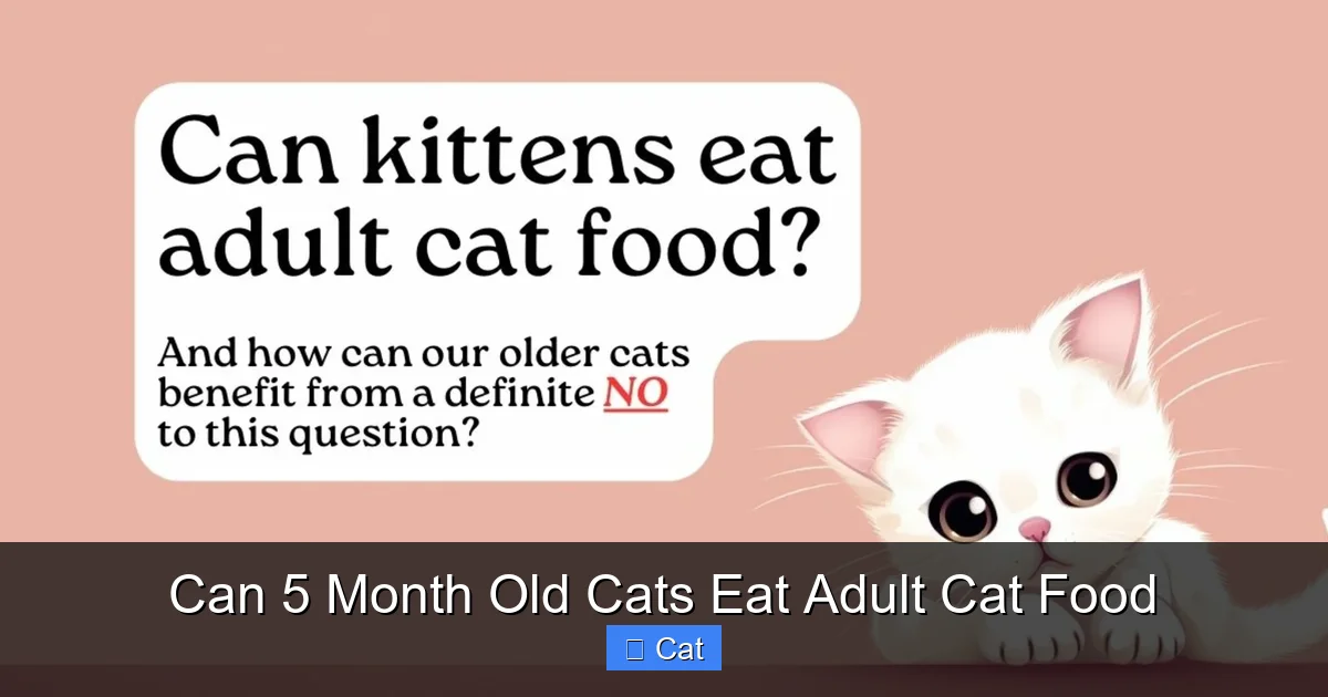 Can 5 Month Old Cats Eat Adult Cat Food