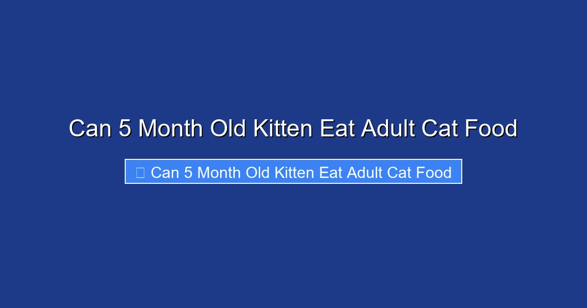 Can 5 Month Old Kitten Eat Adult Cat Food