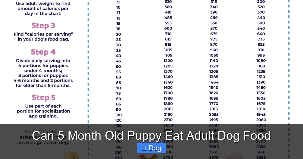 Can 5 Month Old Puppy Eat Adult Dog Food