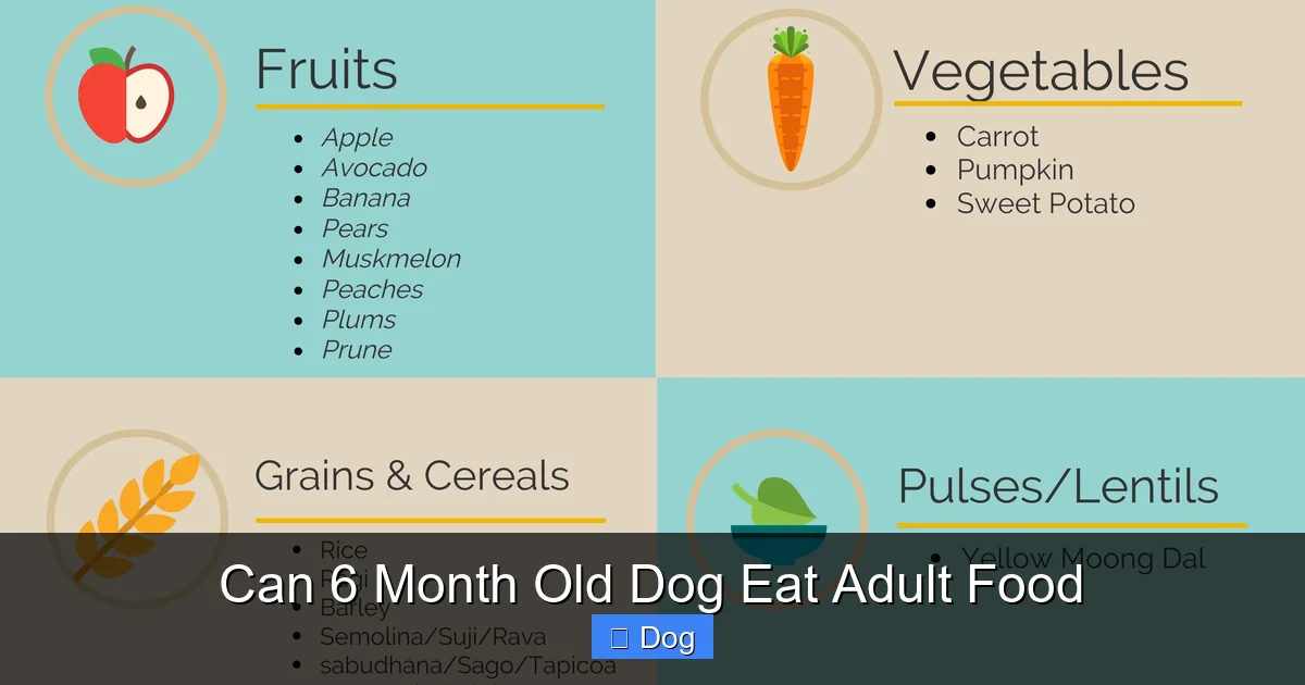 Can 6 Month Old Dog Eat Adult Food