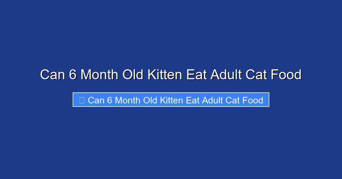 Can 6 Month Old Kitten Eat Adult Cat Food