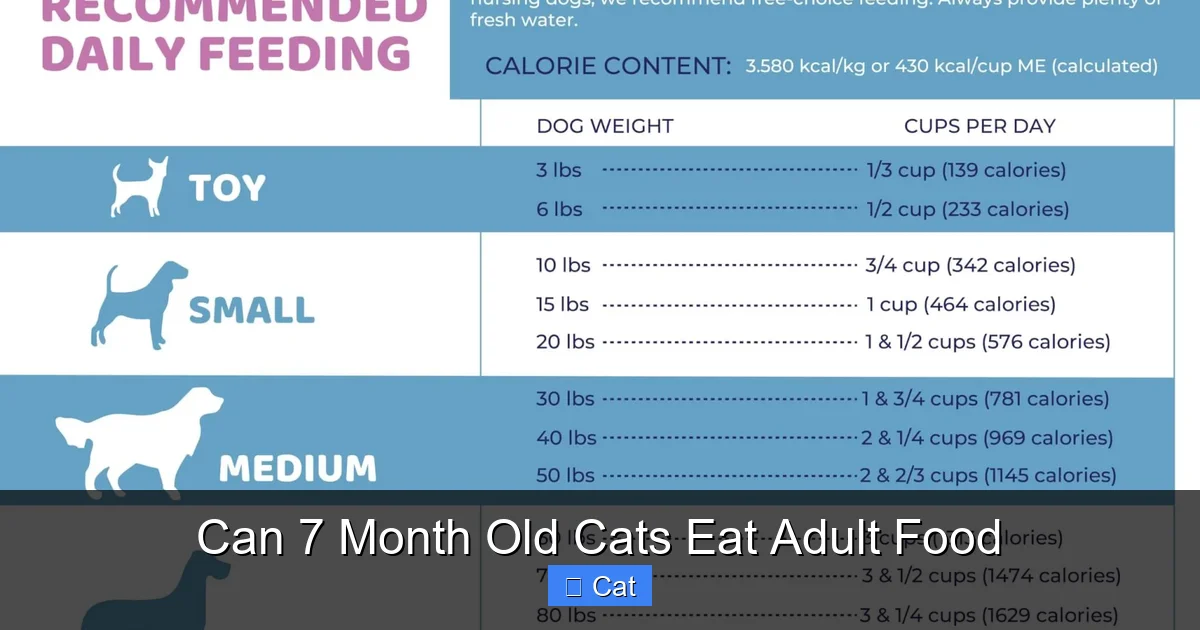 Can 7 Month Old Cats Eat Adult Food