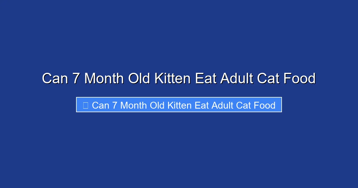 Can 7 Month Old Kitten Eat Adult Cat Food