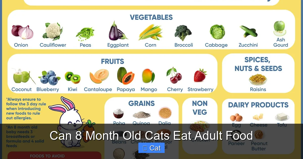 Can 8 Month Old Cats Eat Adult Food