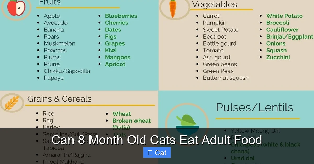 Can 8 Month Old Cats Eat Adult Food
