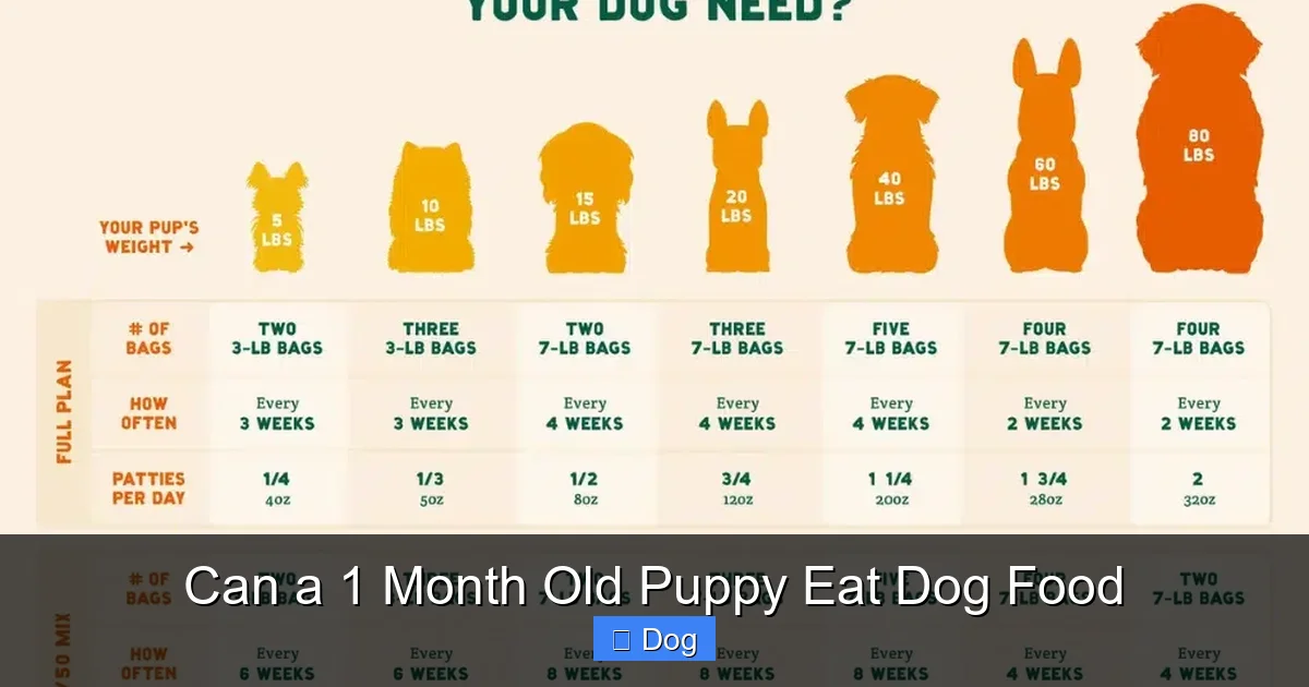 Can a 1 Month Old Puppy Eat Dog Food