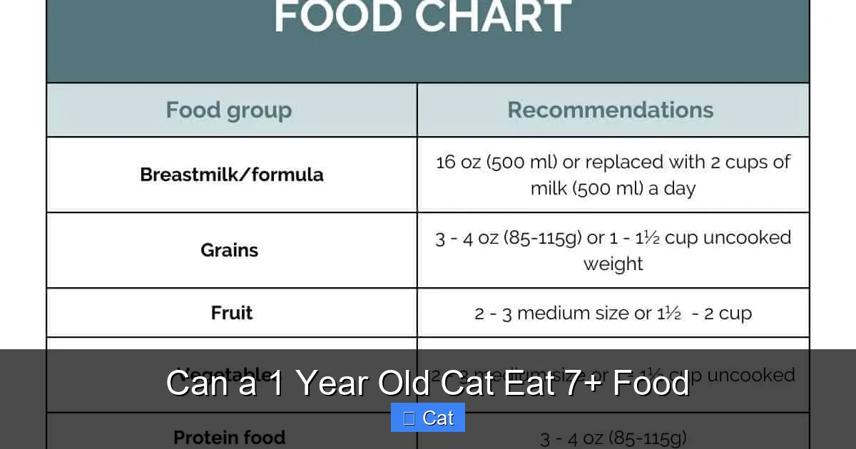 Can a 1 Year Old Cat Eat 7+ Food