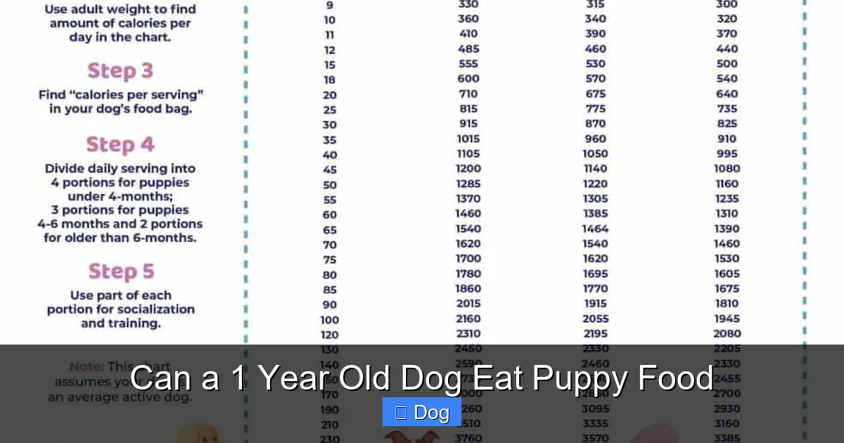 Can a 1 Year Old Dog Eat Puppy Food