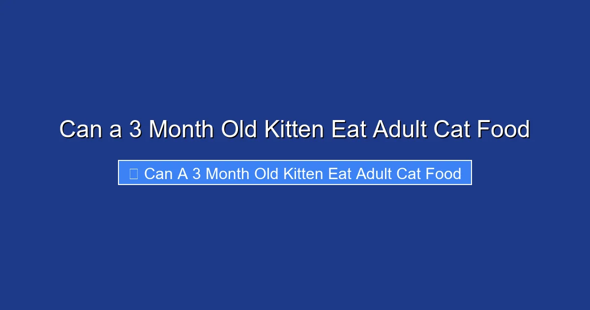 Can a 3 Month Old Kitten Eat Adult Cat Food