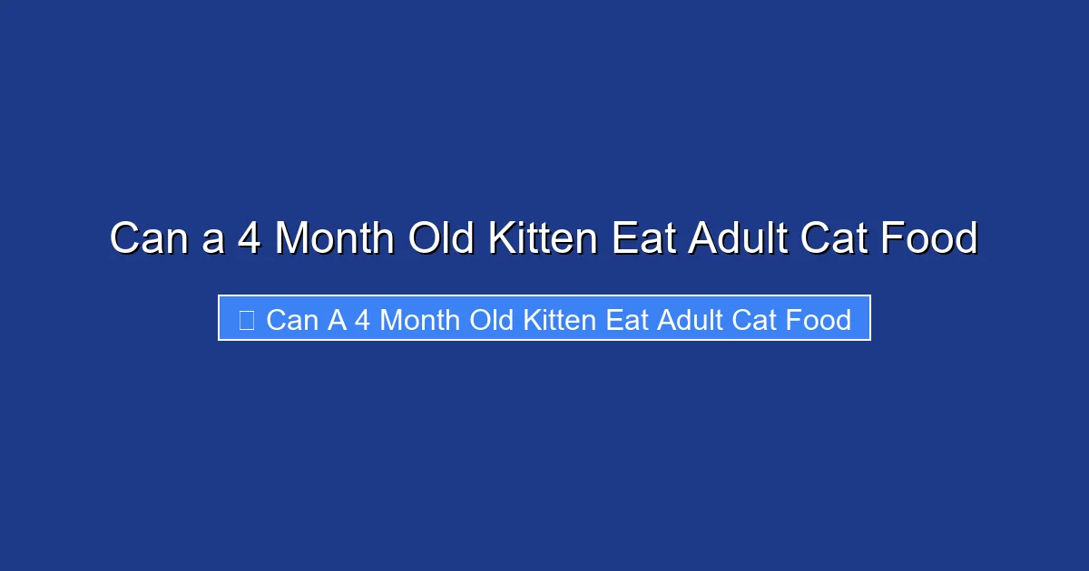 Can a 4 Month Old Kitten Eat Adult Cat Food