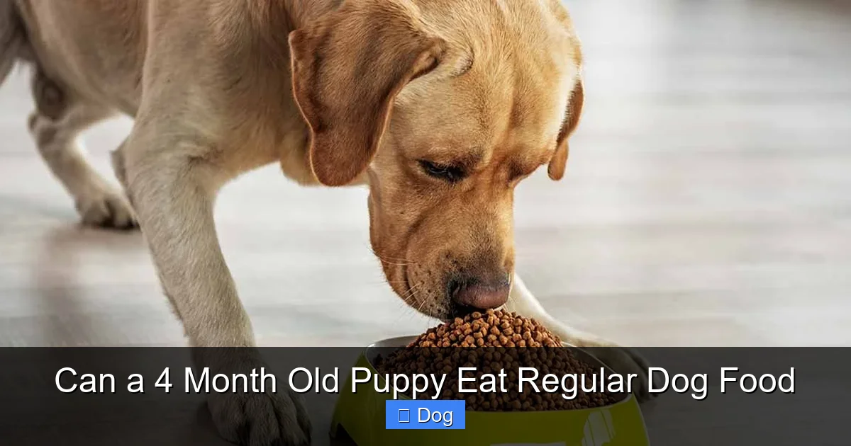 Can a 4 Month Old Puppy Eat Regular Dog Food