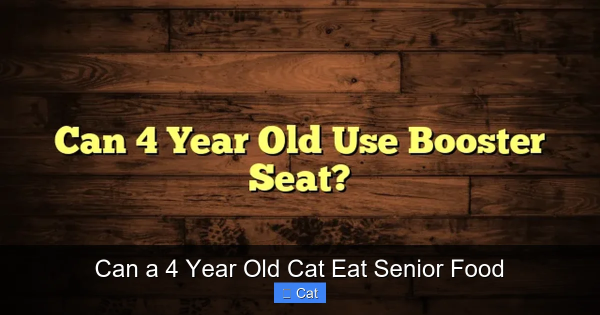 Can a 4 Year Old Cat Eat Senior Food