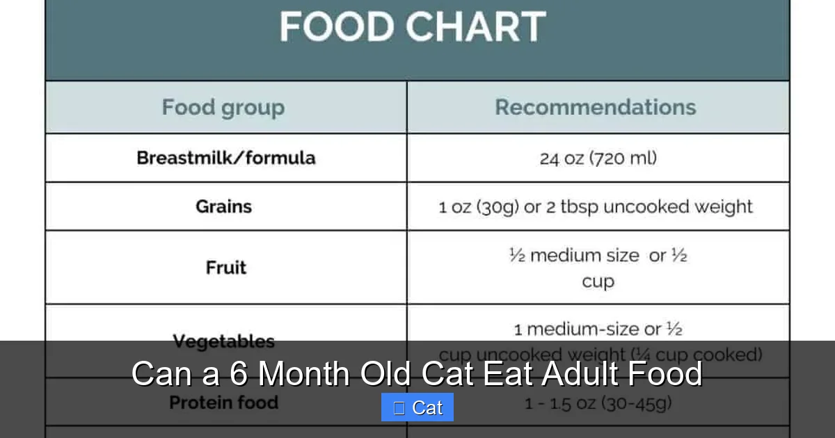 Can a 6 Month Old Cat Eat Adult Food