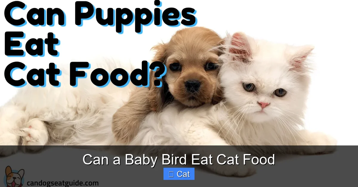 Can a Baby Bird Eat Cat Food