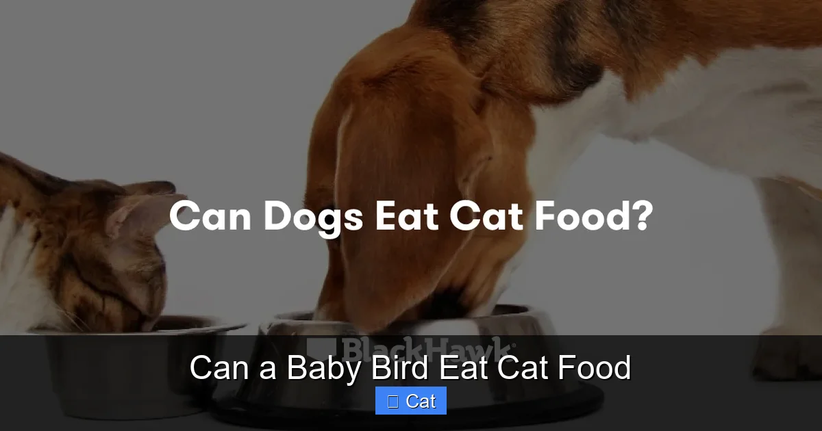 Can a Baby Bird Eat Cat Food