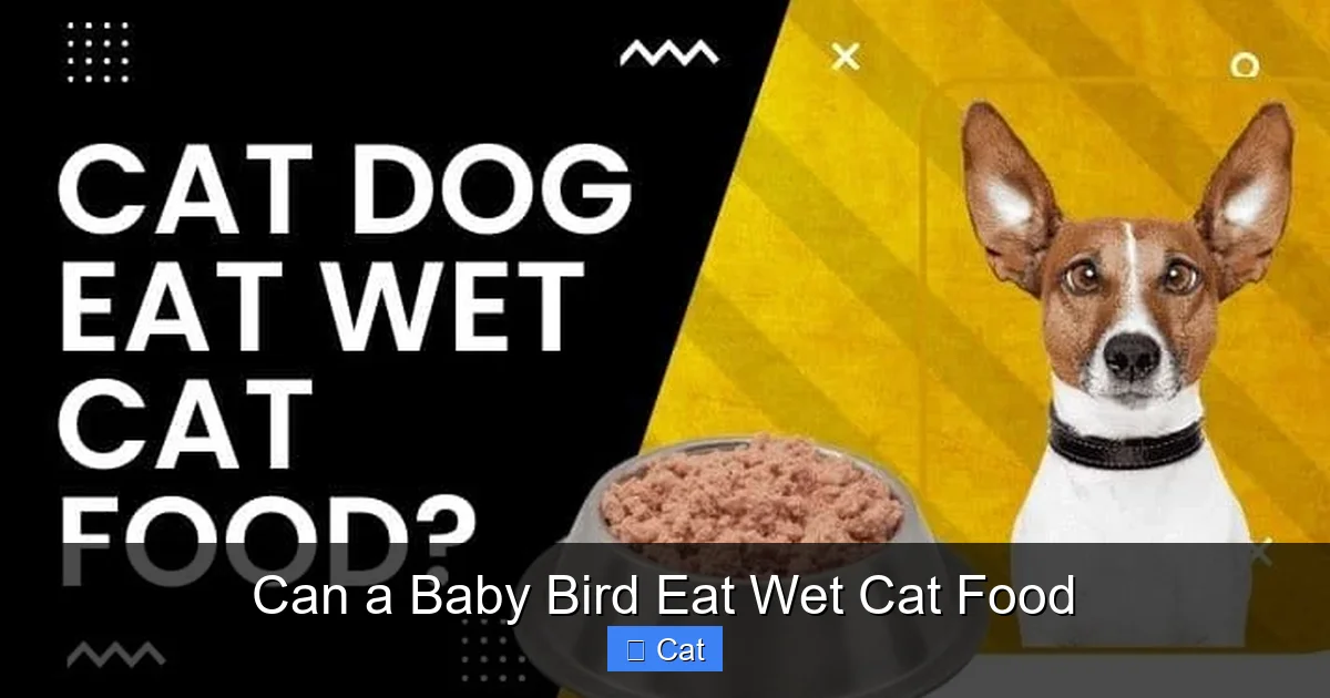 Can a Baby Bird Eat Wet Cat Food