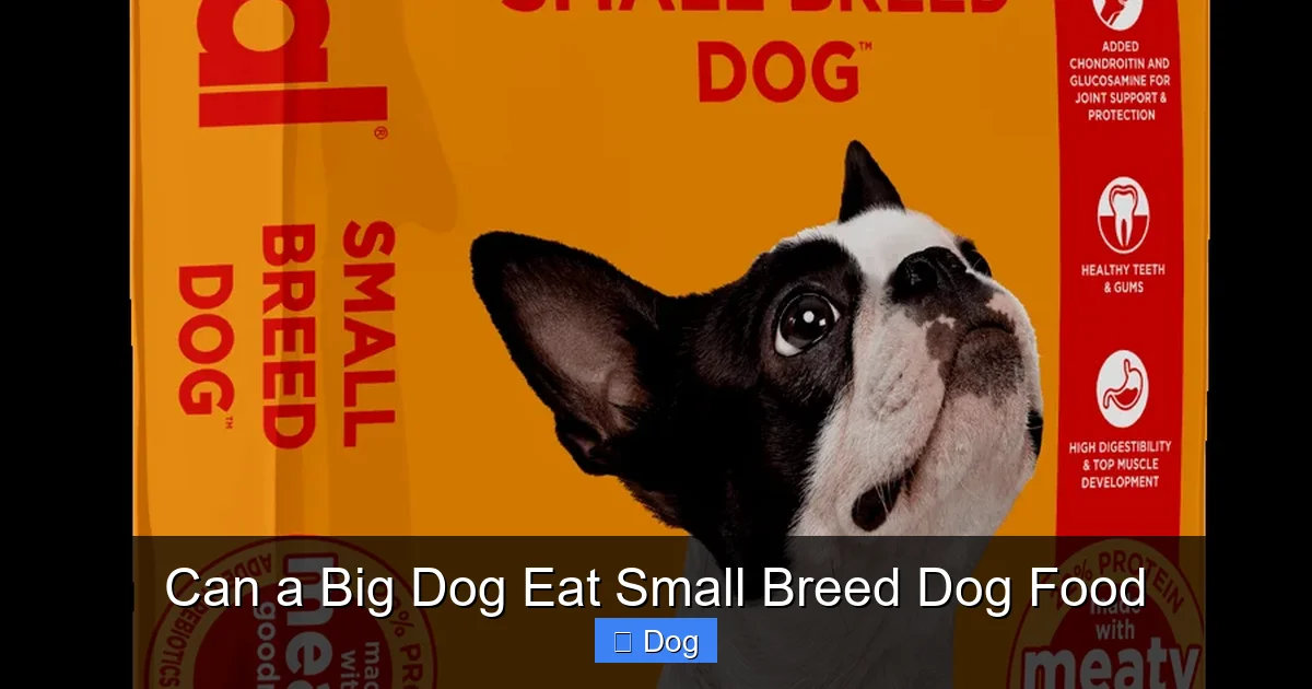 Can a Big Dog Eat Small Breed Dog Food
