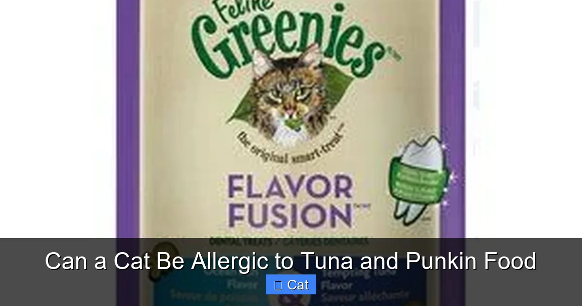 Can a Cat Be Allergic to Tuna and Punkin Food