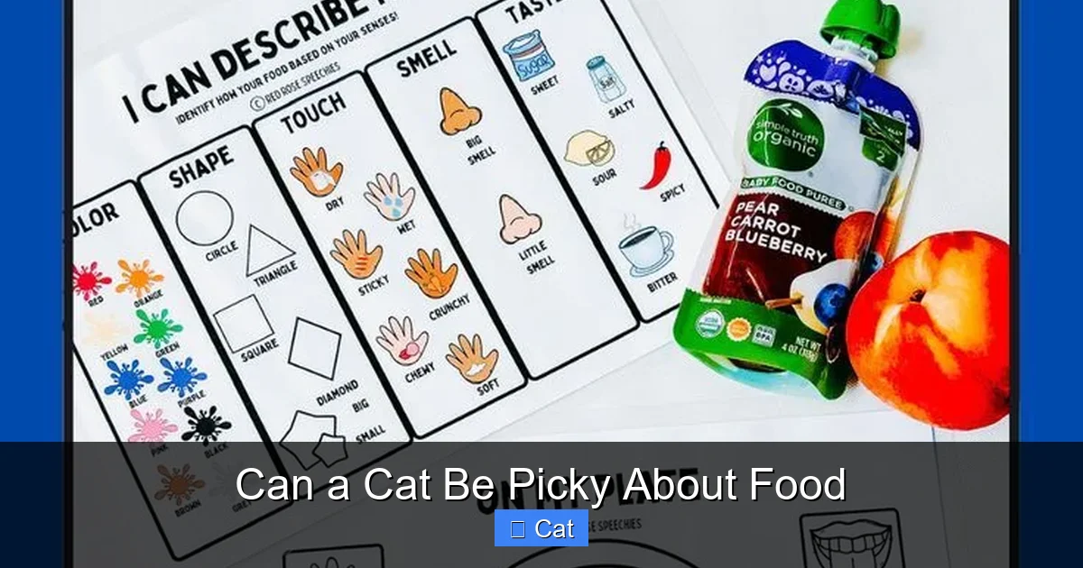 Can a Cat Be Picky About Food