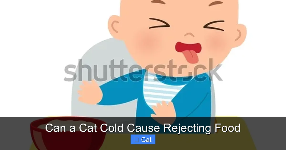 Can a Cat Cold Cause Rejecting Food