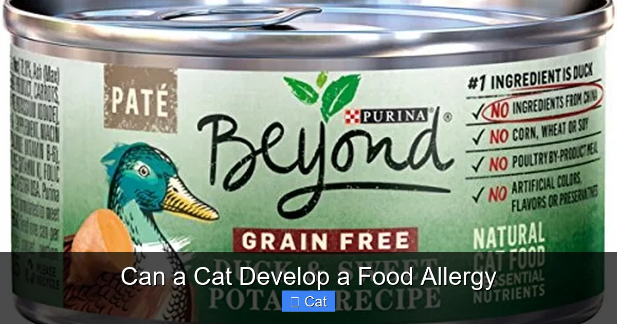 Can a Cat Develop a Food Allergy
