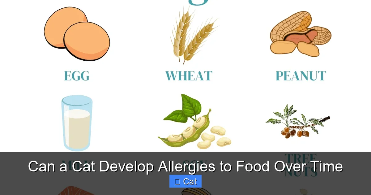 Can a Cat Develop Allergies to Food Over Time