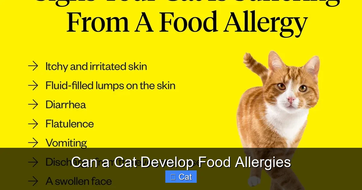 Can a Cat Develop Food Allergies