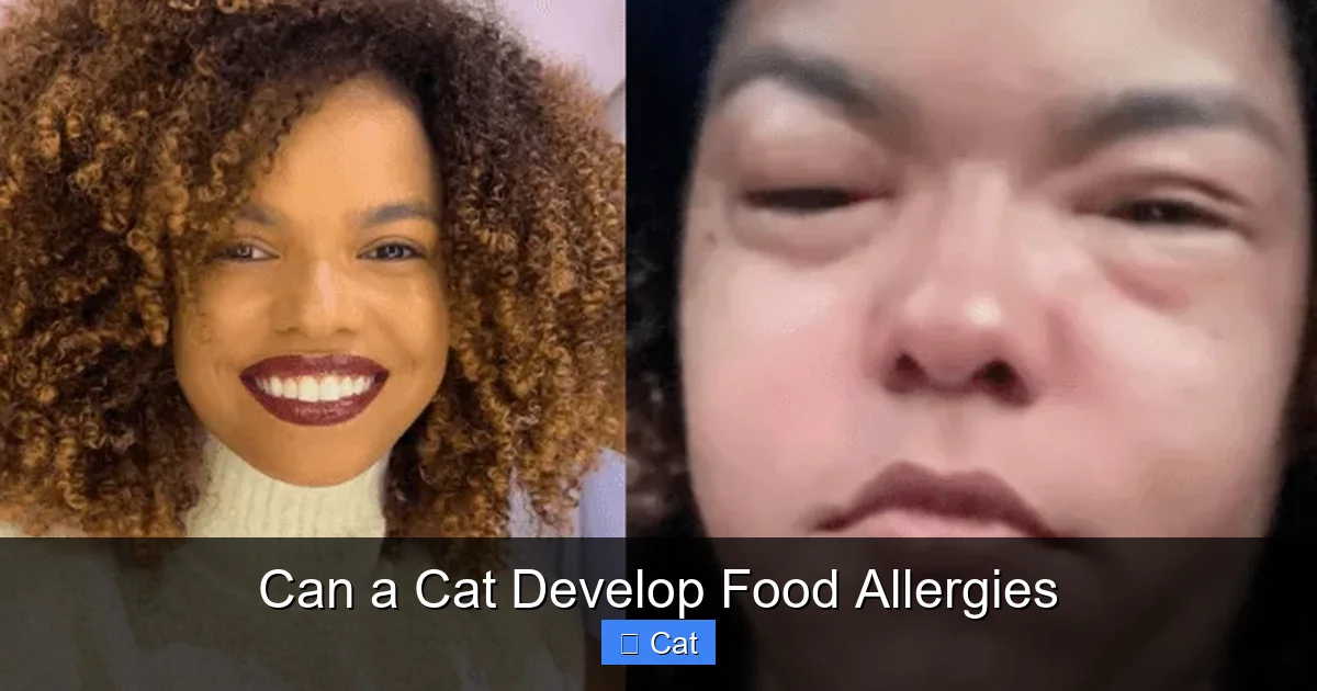 Can a Cat Develop Food Allergies