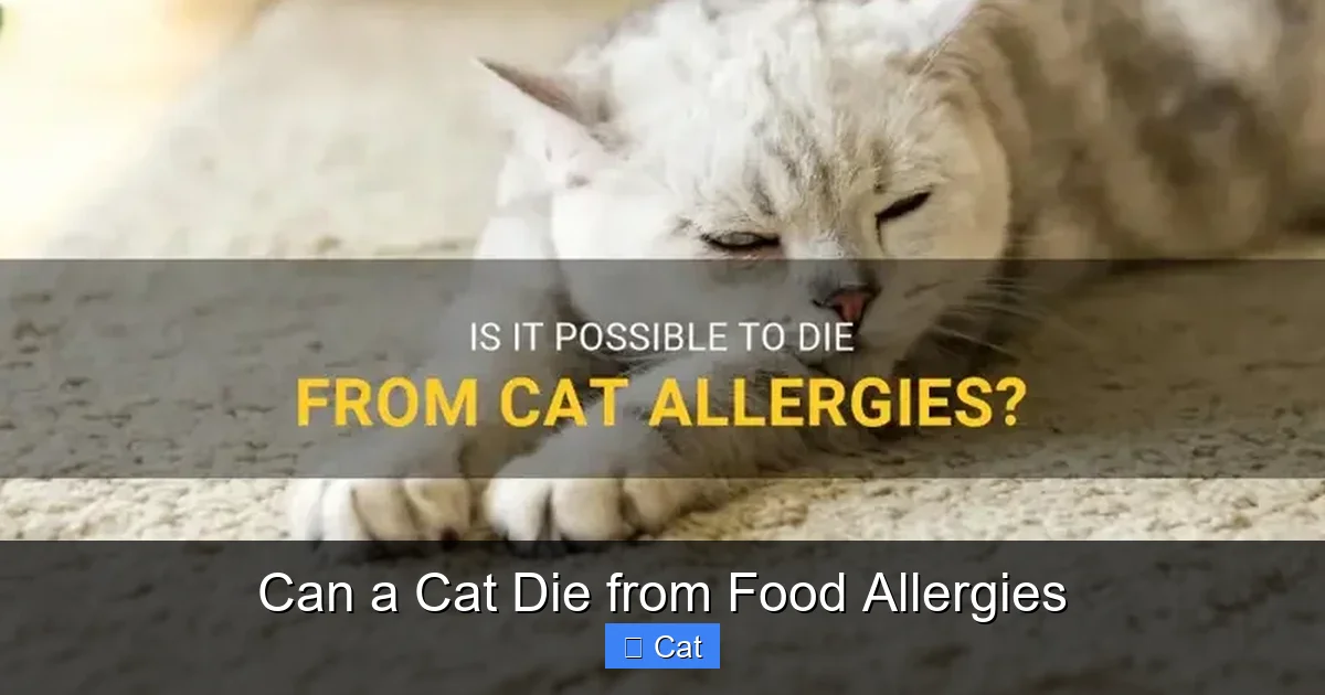 Can a Cat Die from Food Allergies