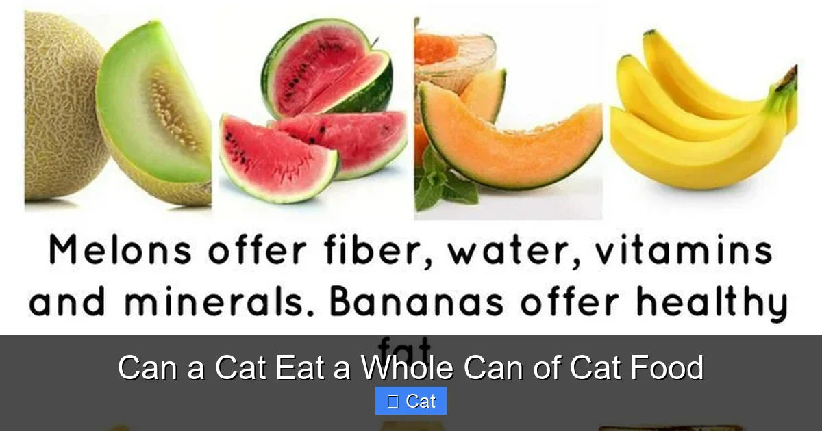 Can a Cat Eat a Whole Can of Cat Food