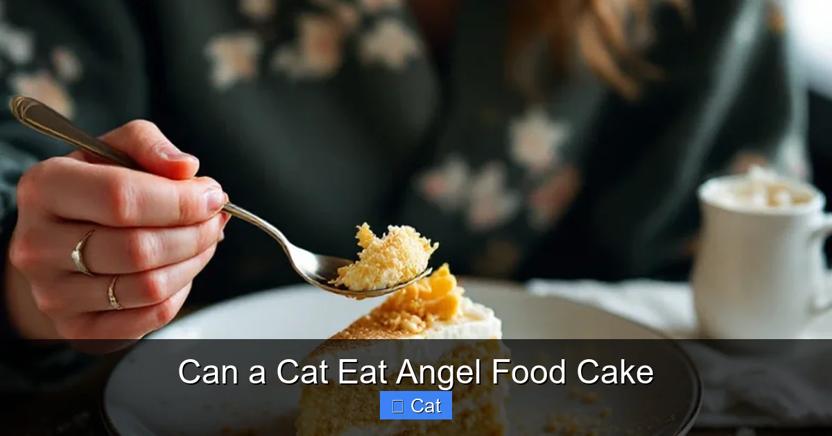 Can a Cat Eat Angel Food Cake