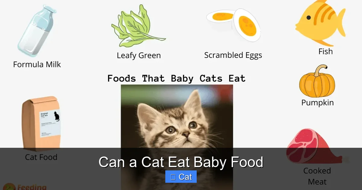 Can a Cat Eat Baby Food