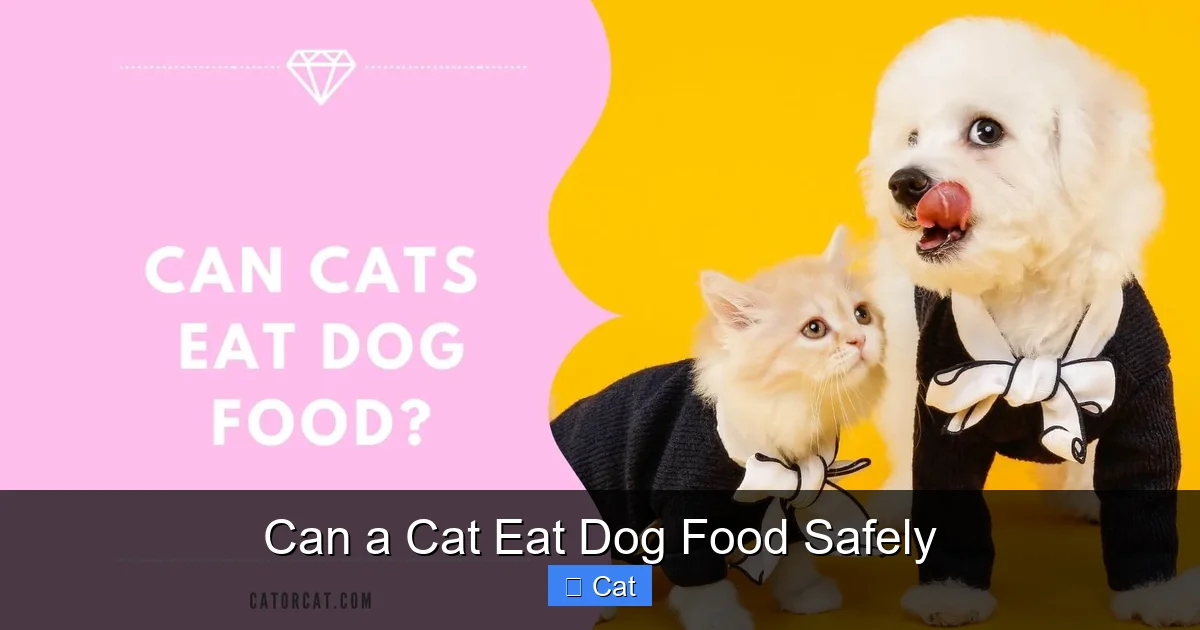 Can a Cat Eat Dog Food Safely