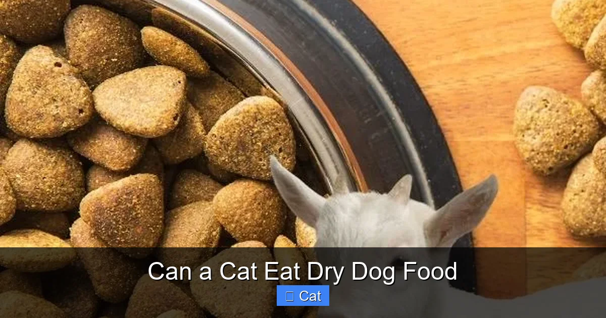 Can a Cat Eat Dry Dog Food
