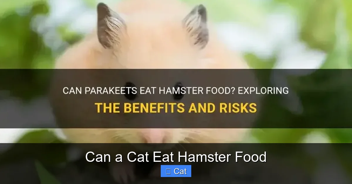 Can a Cat Eat Hamster Food