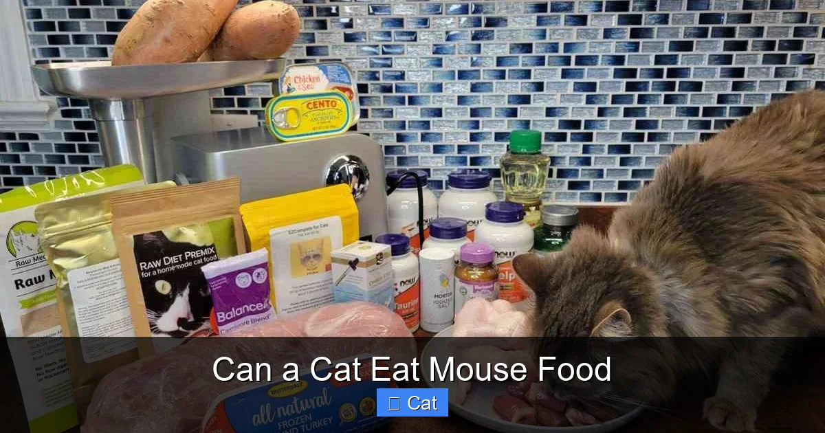 Can a Cat Eat Mouse Food