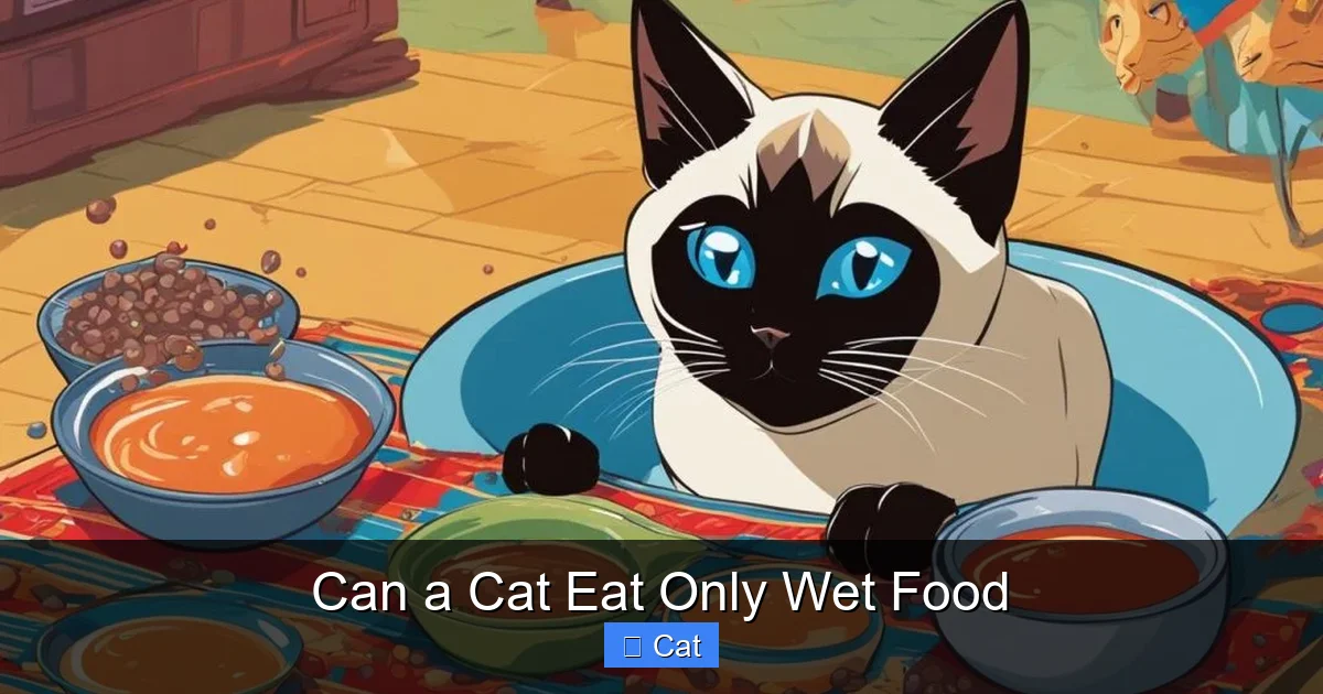 Can a Cat Eat Only Wet Food