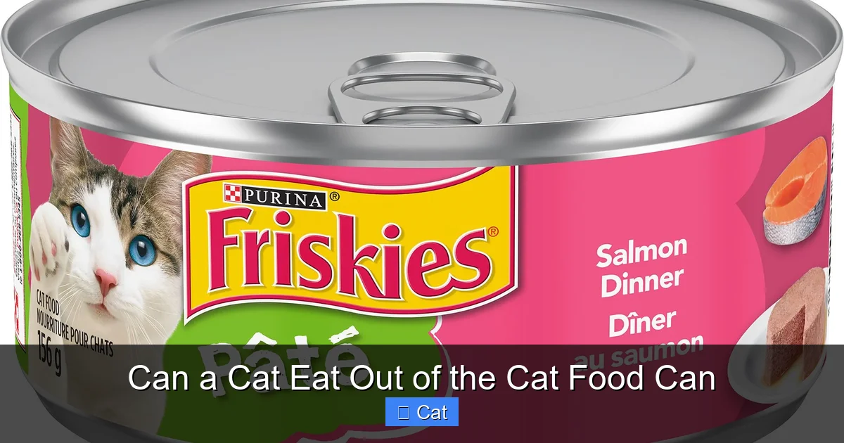 Can a Cat Eat Out of the Cat Food Can